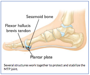 plantar pad