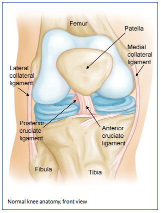 ACL diagram