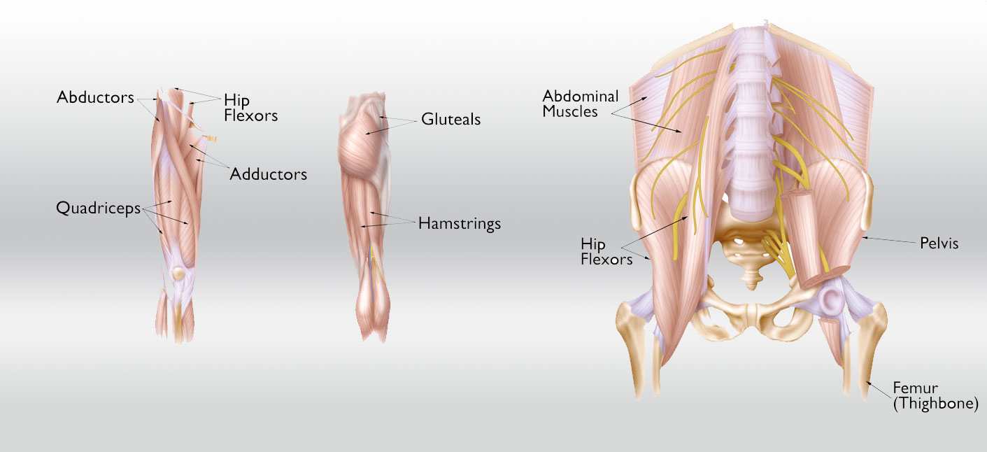 hip strain diagram