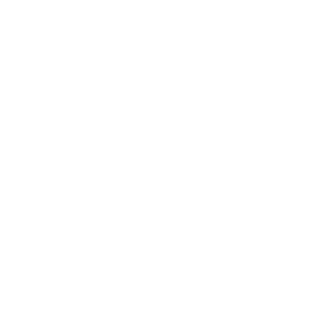 Ankle Icon