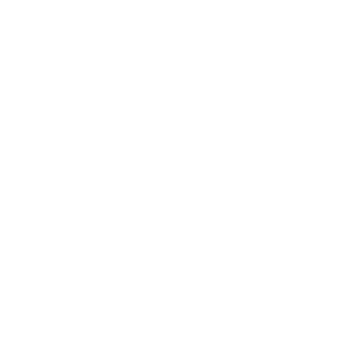 Knee Icon