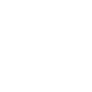 Neck & Spine Icon