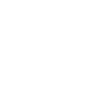 Wrist Icon