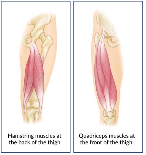 Thigh Muscle Strains 54